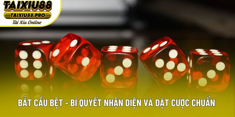 Bắt Cầu Bệt - Bí Quyết Nhận Diện Và Đặt Cược Chuẩn Xác