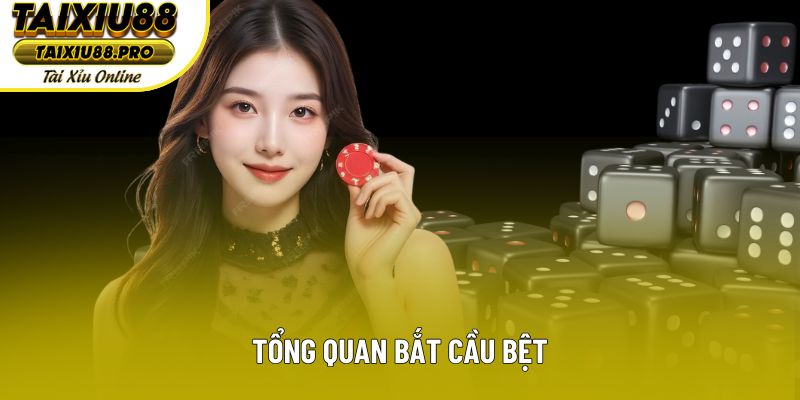 Tổng quan bắt cầu bệt