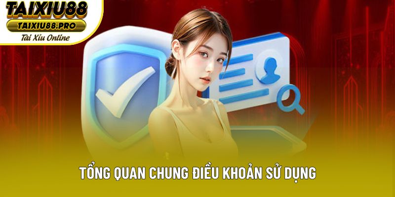 Tổng quan chung điều khoản sử dụng Tổng quan chung điều khoản sử dụng