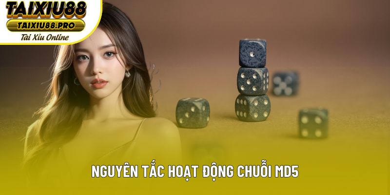 Nguyên tắc hoạt động chuỗi MD5 Nguyên tắc hoạt động chuỗi MD5