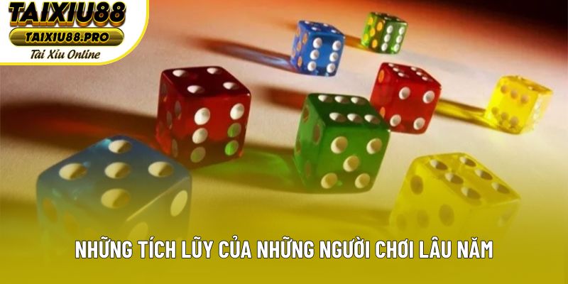 Những tích lũy của những người chơi lâu năm Những tích lũy của những người chơi lâu năm