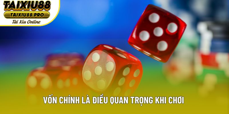 Vốn chính là điều quan trọng khi chơi tài xỉu Livestream Vốn chính là điều quan trọng khi chơi tài xỉu Livestream