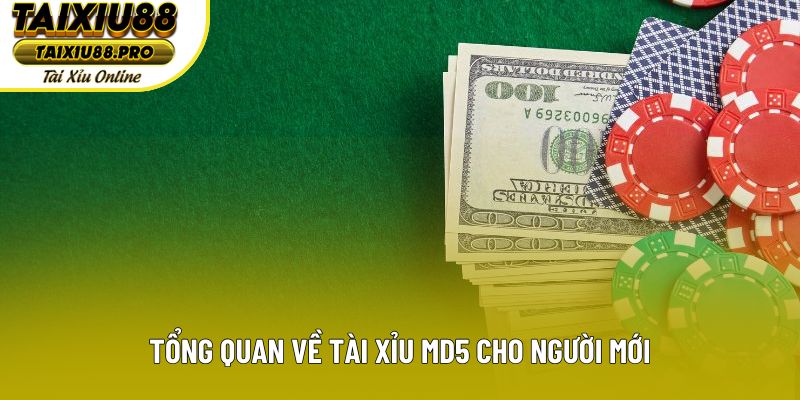 Tổng quan về tài xỉu MD5 cho người mới Tổng quan về tài xỉu MD5 cho người mới
