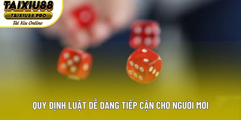 Quy định luật dễ dàng tiếp cận cho người mới