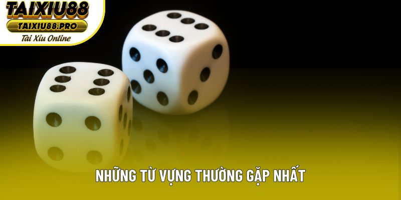 Những từ vựng thường gặp nhất Những từ vựng thường gặp nhất