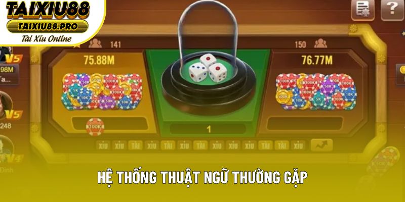 Hệ thống thuật ngữ thường gặp Hệ thống thuật ngữ thường gặp